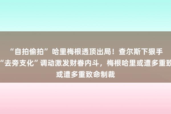 “自拍偷拍” 哈里梅根透顶出局！查尔斯下狠手，王室“去旁支化”调动激发财眷内斗，梅根哈里或遭多重致命制裁