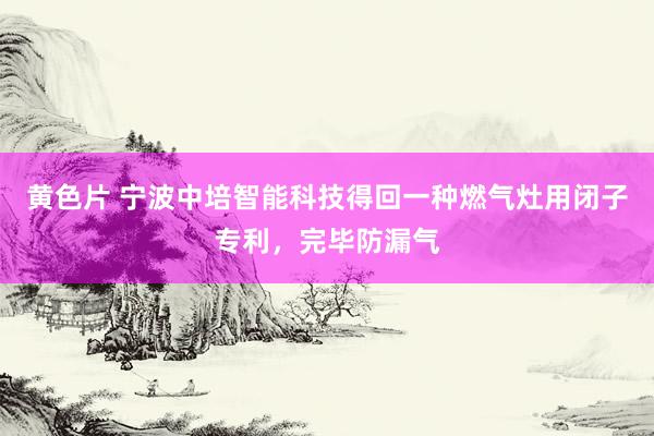 黄色片 宁波中培智能科技得回一种燃气灶用闭子专利，完毕防漏气