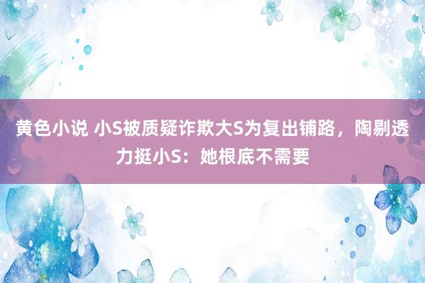黄色小说 小S被质疑诈欺大S为复出铺路，陶剔透力挺小S：她根底不需要